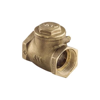 Swing Check Valve NP ANA CHV111-020 Size 3/4 Inch