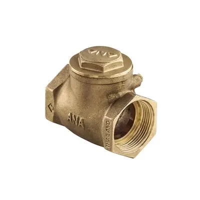 Swing Check Valve NP ANA CHV111-025 Size 1 Inch