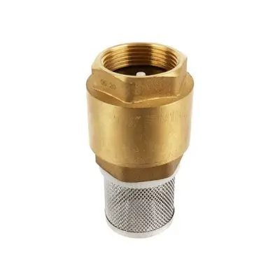 Spring Foot Valve Removeable NP ANA FVR116-032 Size 1 1/4 Inch