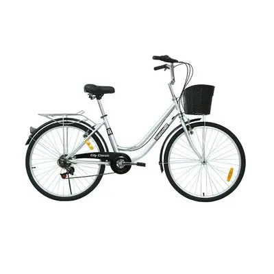 GIANT KINGKONG Utility Bicycle (UT2607SV), 26 Inch, Silver