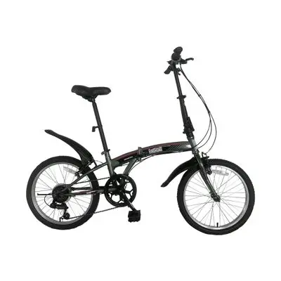 GIANT KINGKONG Folding Bike (FD2007GY), 20 inch, Grey