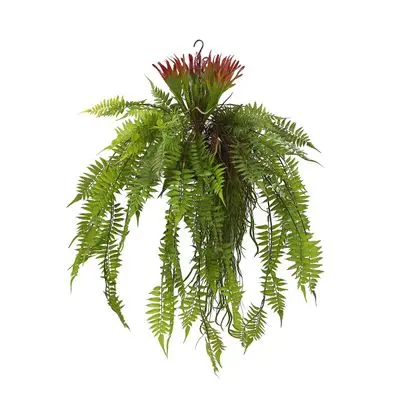 Hanging Plant Fern leaf in Basket FONTE TZ2204178 Green