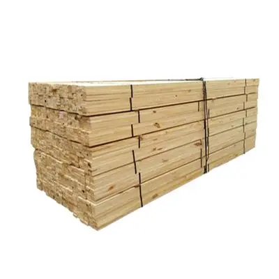 Timber & Wood Panel WOOD PRO 10 Pcs./Set Wood Size 4.5 x 250 x 1.7 cm Natural