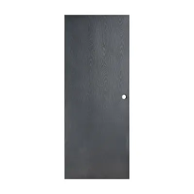 บานประตูเหล็ก PROFESSIONAL รุ่น WD1 BK ขนาด 80 x 200 ซม. สีเทาดำเม็ดทราย