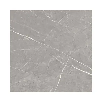 CERGRES Granito Tiles (MERRICK GREY (POLISHED) Size 60 x 60 cm (Box 4 Pcs.), Grey