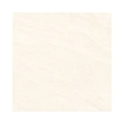 CERGRES Granito Tiles (LEGEND BEIGE (SOFT ST) Size 60 x 60 cm (Box 4 Pcs.), Beige