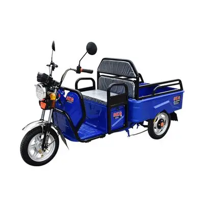 SKG AGRI Electric Bike (SK-60V600), Blue