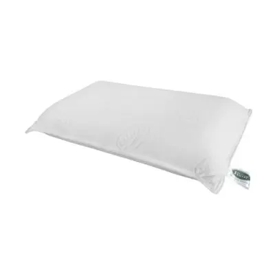 VENTRY Standard Pillow, White Color