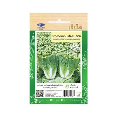 HP Cyclone 388 Chinese Cabbage Seed CHIATAIHOMEGARDEN Size 2 G