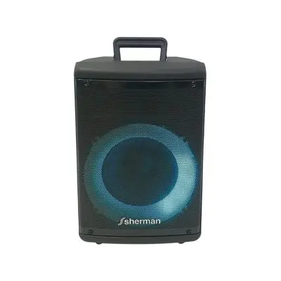 SHERMAN Speaker (APS-260), 15 Watt, Black