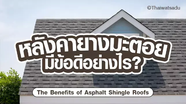 ยางมะตอยไม่ได้เอาไว้ใช้ปูถนนอย่างเดียว แต่ยังนำไปผลิตหลังคาได้ด้วย! "หลังคายางมะตอย" หรือ "หลังคาซิงเกิ้ลรูฟ" (Asphalt Shingle Roof) เหมาะอย่างมากกับผู้ที่ต้องการหลังคาบ้านราคาเอื้อมถึง ติดตั้งง่าย และให้คุณภาพการใช้งานเต็มเปี่ยม อยากรู้ว่าข้อดีของหลังคาประเภทนี้จะมีอะไรอีกบ้าง อย่ารอช้า มารู้จักกับหลังคายางมะตอยให้มากยิ่งขึ้นกันเลยดีกว่า